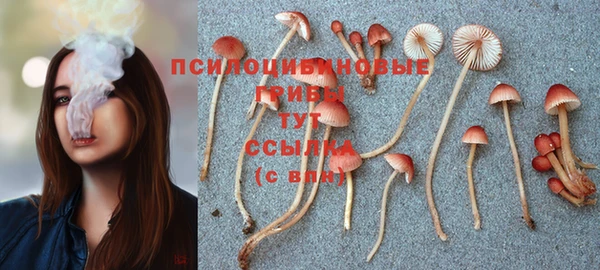 марки nbome Белоозёрский